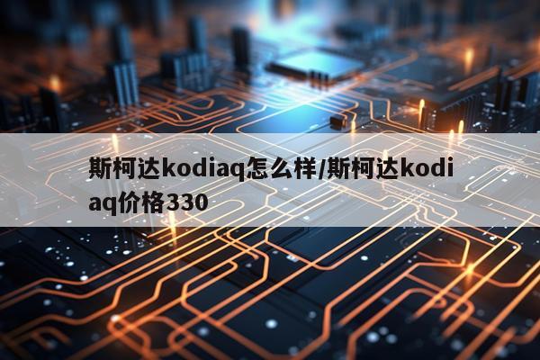 斯柯达kodiaq怎么样/斯柯达kodiaq价格330