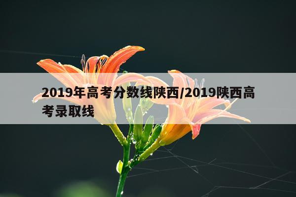 2019年高考分数线陕西/2019陕西高考录取线