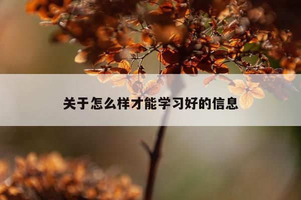 关于怎么样才能学习好的信息