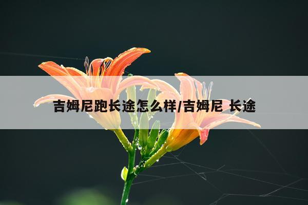 吉姆尼跑长途怎么样/吉姆尼 长途