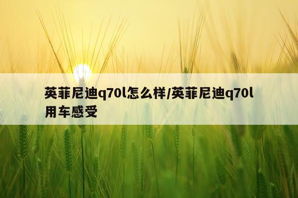 英菲尼迪q70l怎么样/英菲尼迪q70l用车感受