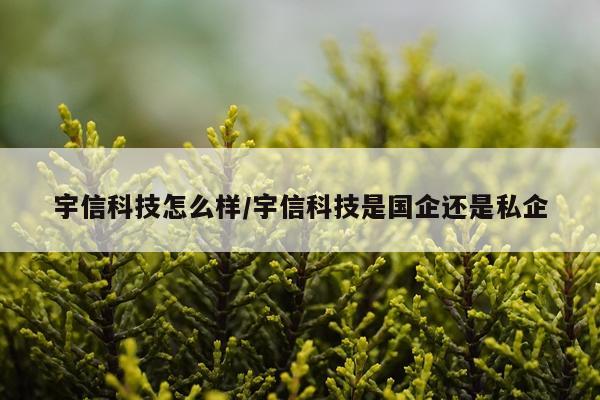 宇信科技怎么样/宇信科技是国企还是私企
