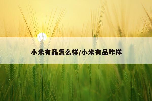 小米有品怎么样/小米有品咋样