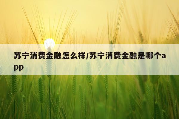 苏宁消费金融怎么样/苏宁消费金融是哪个app