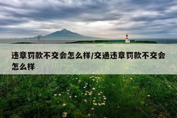 违章罚款不交会怎么样/交通违章罚款不交会怎么样