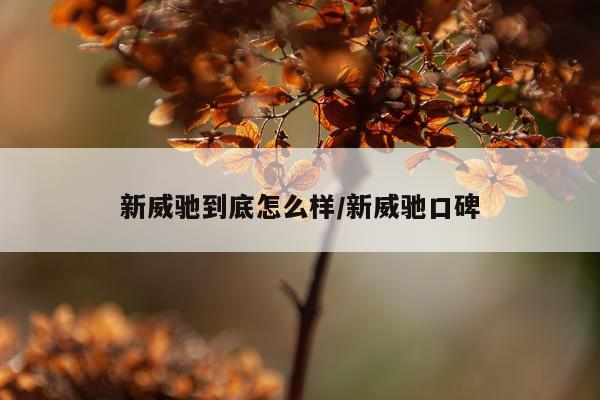 新威驰到底怎么样/新威驰口碑
