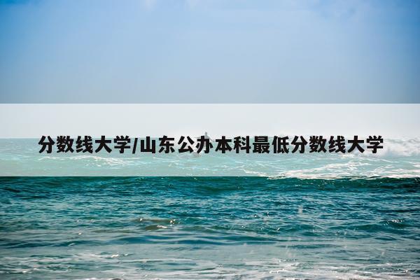 分数线大学/山东公办本科最低分数线大学