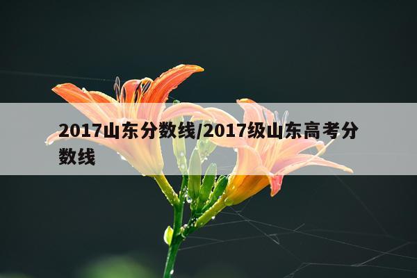 2017山东分数线/2017级山东高考分数线