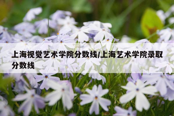 上海视觉艺术学院分数线/上海艺术学院录取分数线