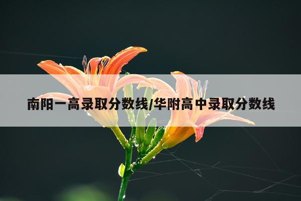 南阳一高录取分数线/华附高中录取分数线
