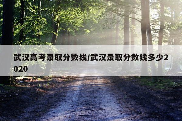 武汉高考录取分数线/武汉录取分数线多少2020