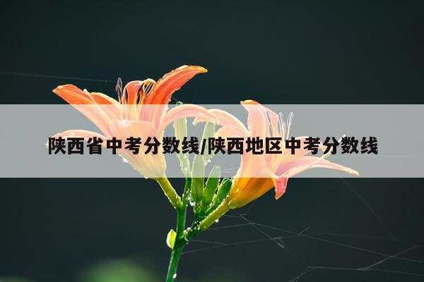 陕西省中考分数线/陕西地区中考分数线
