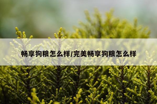 畅享狗粮怎么样/完美畅享狗粮怎么样