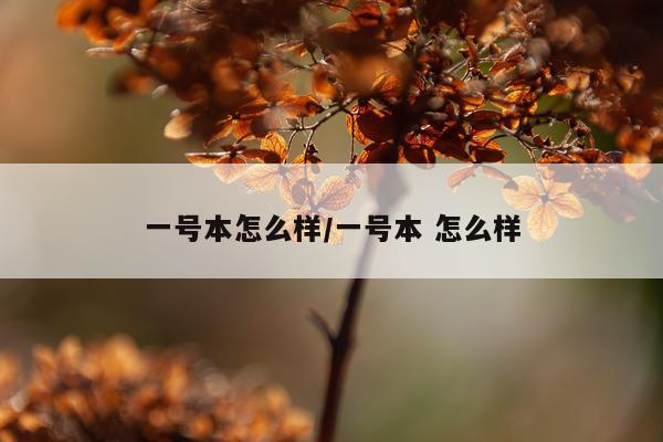 一号本怎么样/一号本 怎么样