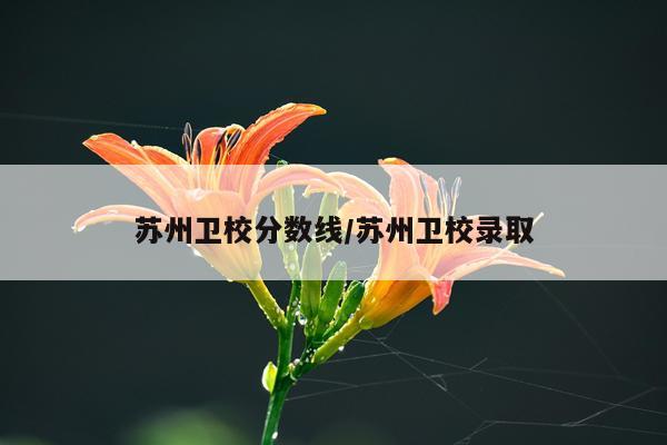 苏州卫校分数线/苏州卫校录取