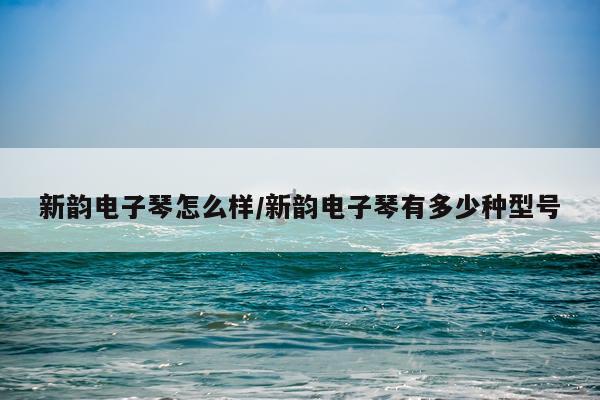 新韵电子琴怎么样/新韵电子琴有多少种型号