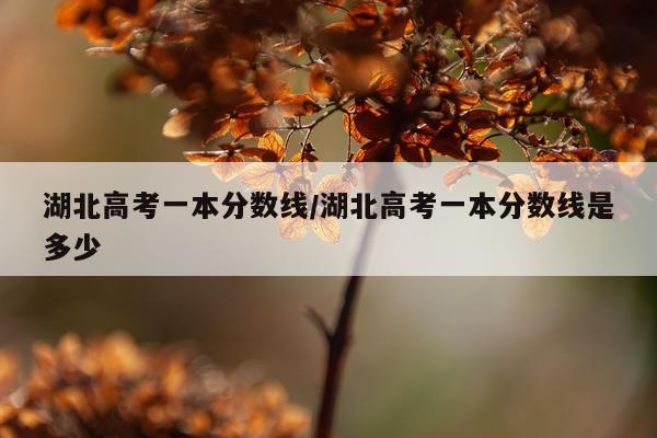 湖北高考一本分数线/湖北高考一本分数线是多少