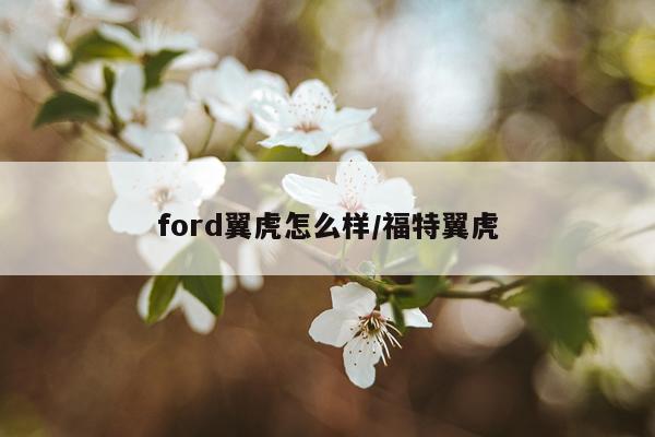 ford翼虎怎么样/福特翼虎