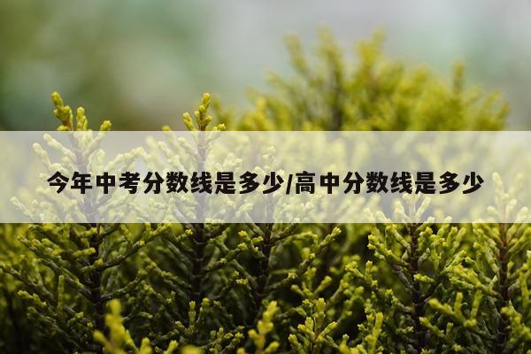 今年中考分数线是多少/高中分数线是多少
