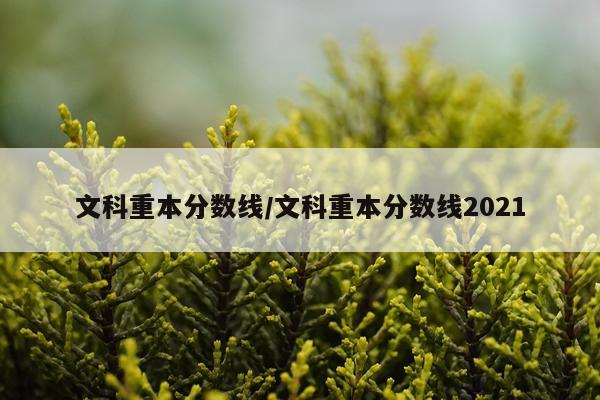 文科重本分数线/文科重本分数线2021