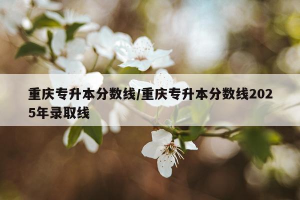重庆专升本分数线/重庆专升本分数线2025年录取线