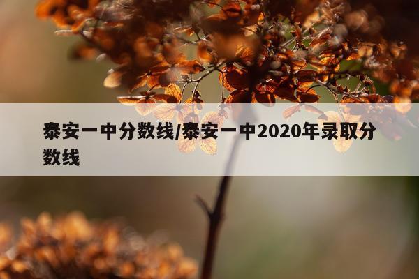 泰安一中分数线/泰安一中2020年录取分数线
