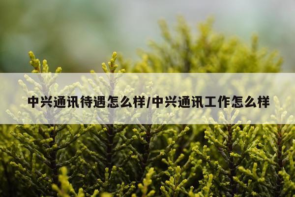 中兴通讯待遇怎么样/中兴通讯工作怎么样