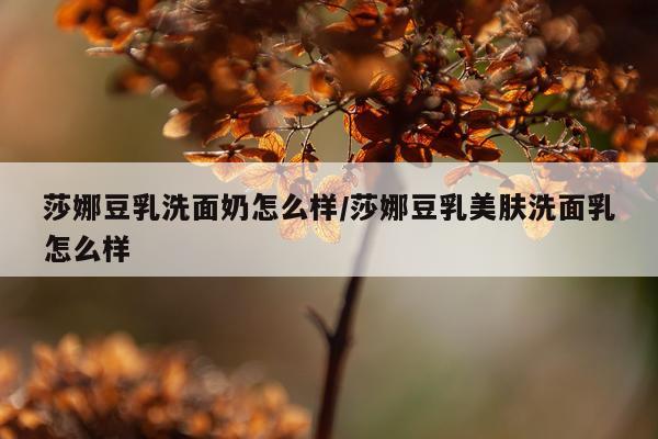 莎娜豆乳洗面奶怎么样/莎娜豆乳美肤洗面乳怎么样