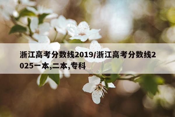 浙江高考分数线2019/浙江高考分数线2025一本,二本,专科