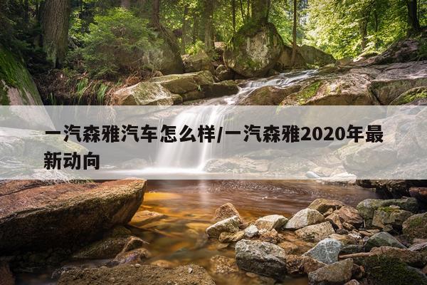 一汽森雅汽车怎么样/一汽森雅2020年最新动向
