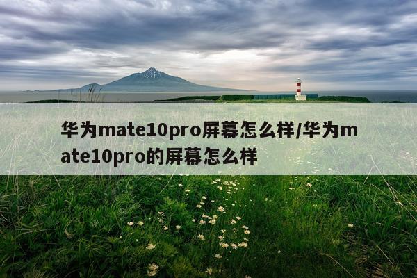 华为mate10pro屏幕怎么样/华为mate10pro的屏幕怎么样