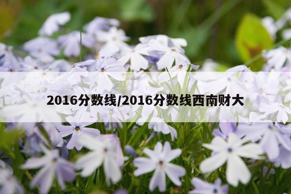 2016分数线/2016分数线西南财大