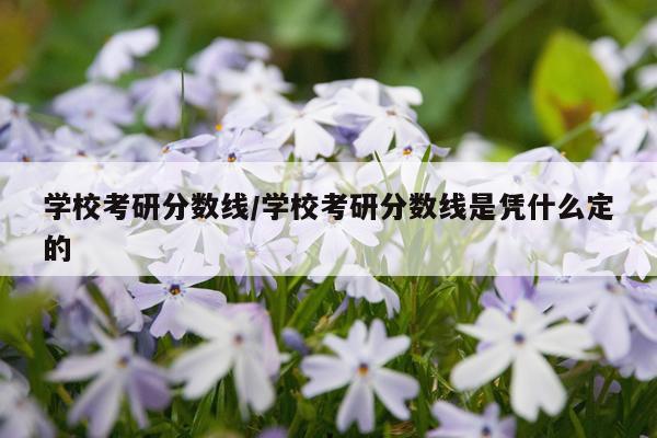 学校考研分数线/学校考研分数线是凭什么定的