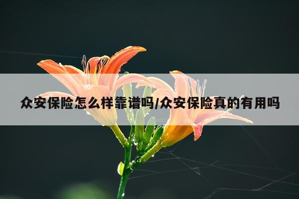 众安保险怎么样靠谱吗/众安保险真的有用吗