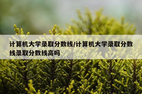 计算机大学录取分数线/计算机大学录取分数线录取分数线高吗