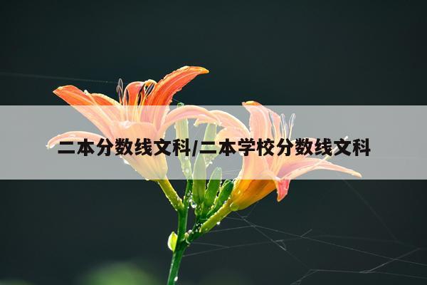 二本分数线文科/二本学校分数线文科