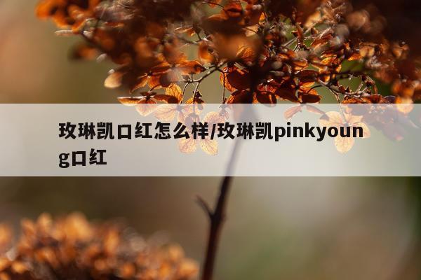 玫琳凯口红怎么样/玫琳凯pinkyoung口红