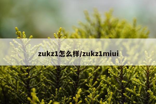 zukz1怎么样/zukz1miui
