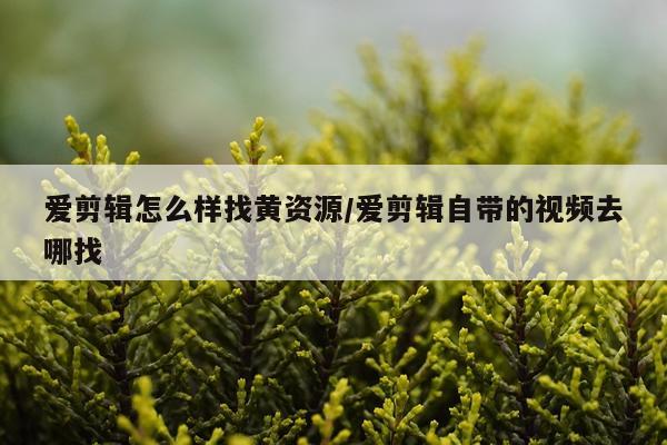 爱剪辑怎么样找黄资源/爱剪辑自带的视频去哪找