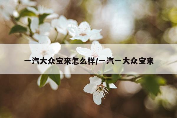 一汽大众宝来怎么样/一汽一大众宝来