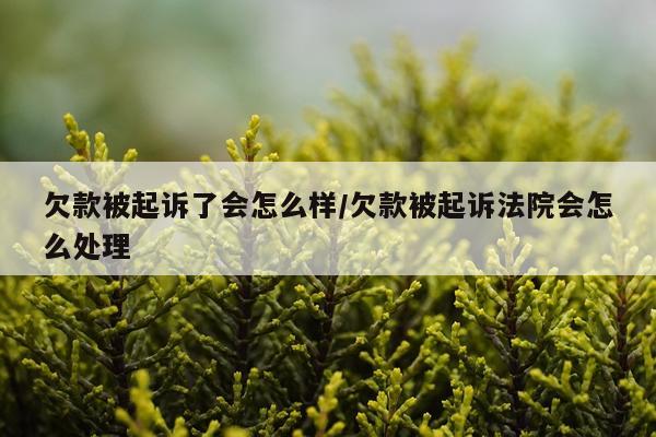 欠款被起诉了会怎么样/欠款被起诉法院会怎么处理