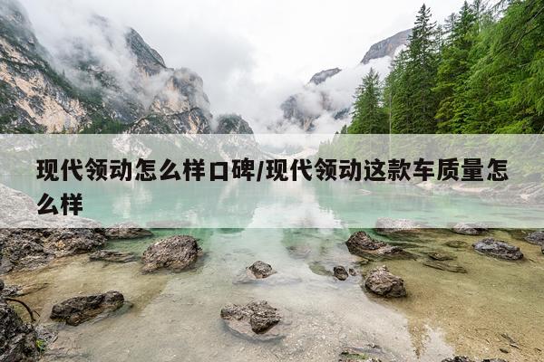 现代领动怎么样口碑/现代领动这款车质量怎么样