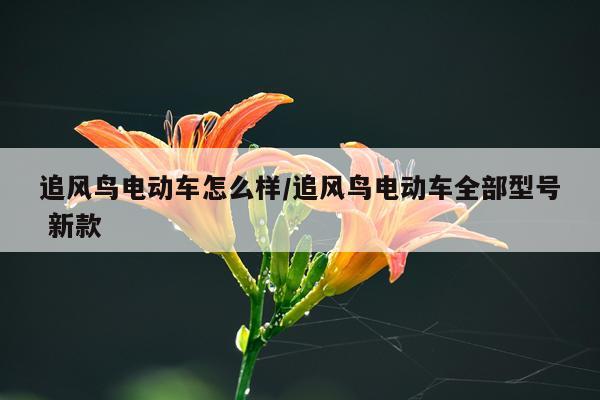 追风鸟电动车怎么样/追风鸟电动车全部型号 新款
