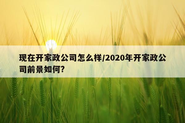 现在开家政公司怎么样/2020年开家政公司前景如何?