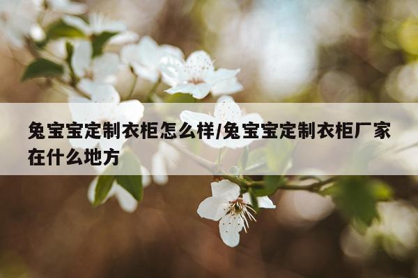 兔宝宝定制衣柜怎么样/兔宝宝定制衣柜厂家在什么地方