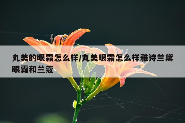 丸美的眼霜怎么样/丸美眼霜怎么样雅诗兰黛眼霜和兰蔻
