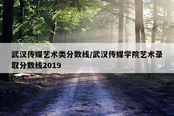 武汉传媒艺术类分数线/武汉传媒学院艺术录取分数线2019