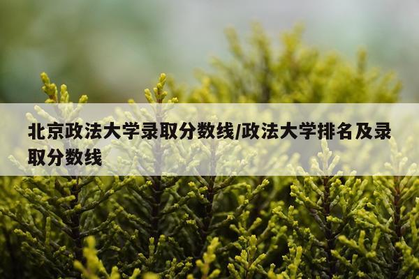 北京政法大学录取分数线/政法大学排名及录取分数线