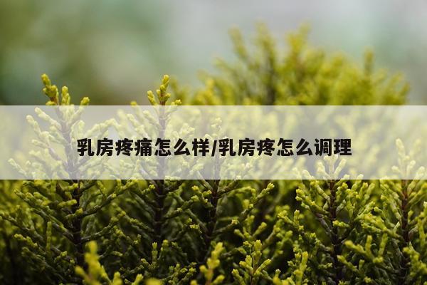 乳房疼痛怎么样/乳房疼怎么调理