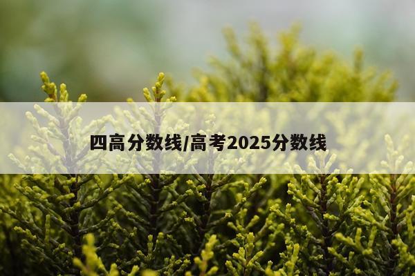 四高分数线/高考2025分数线